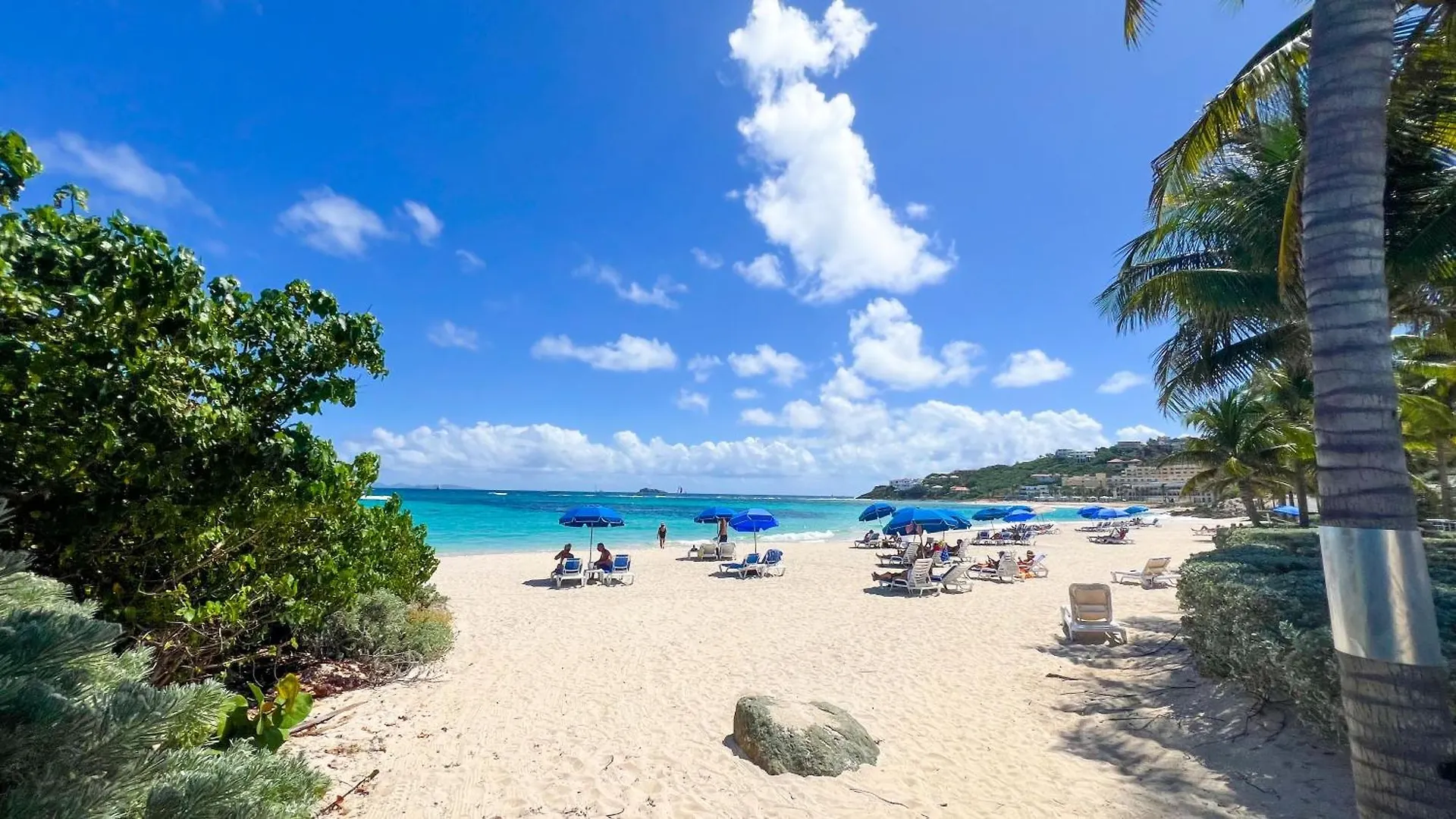 公寓 Villa Magic - Stunning Ocean View, Pool & Starlink Internet Oyster Pond