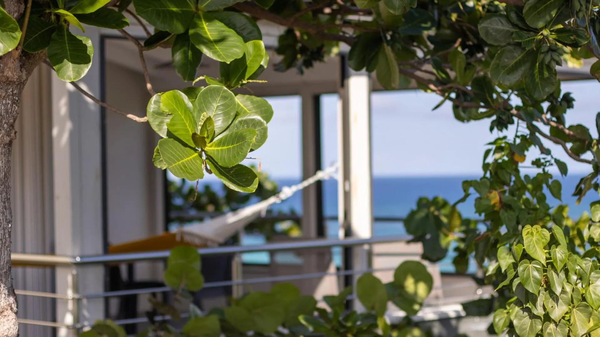 Villa Magic - Stunning Ocean View, Pool & Starlink Internet Oyster Pond 公寓